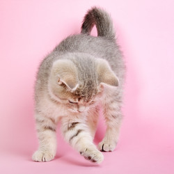 Similar image 1493148