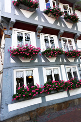 Similar image 1493153