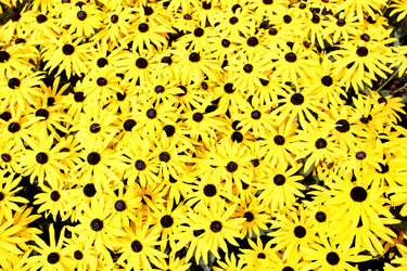 Similar image 1493252