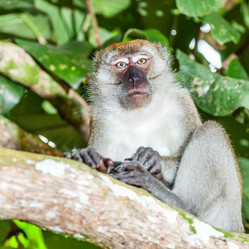 Similar image 1493271