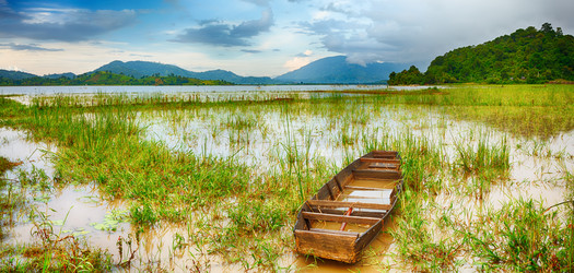 Similar image 1493279