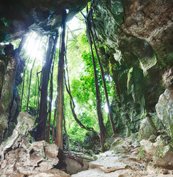 Similar image 1493284