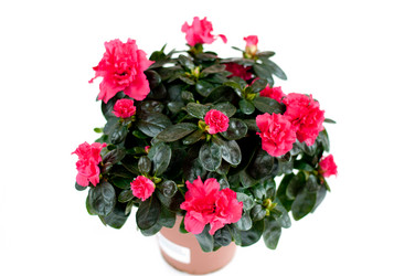 Similar image 1493772