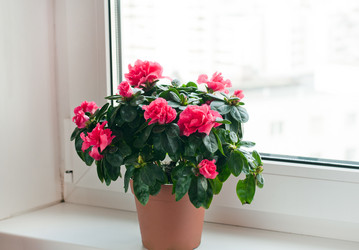 Similar image 1493775