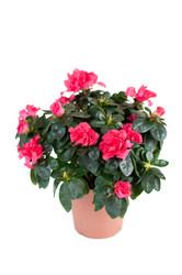 Similar image 1493777