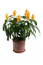 Similar image 1493778