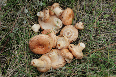 Similar image 1493784