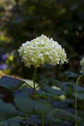 Similar image 1493818