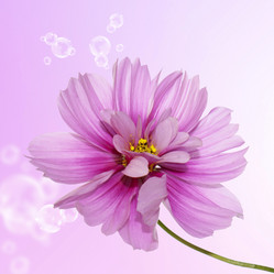 Similar image 1493829