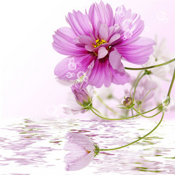 Similar image 1493830