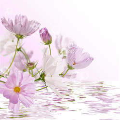 Similar image 1493831