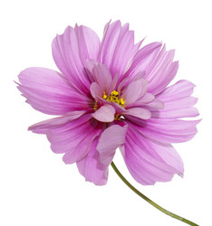 Similar image 1493832