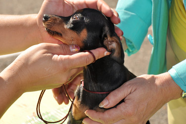 Similar image 1493858