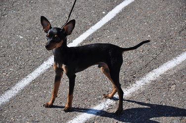 Similar image 1493859