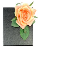 Similar image 1493927