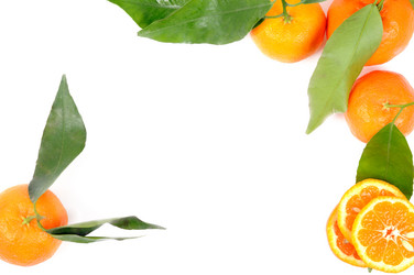 Similar image 1493957