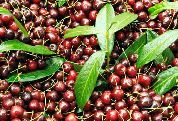 Similar image 1493961