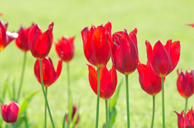 Similar image 1494010