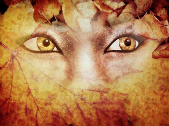 Similar image 1494168