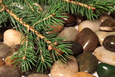 Similar image 1494196