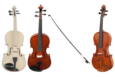 Similar image 1494305