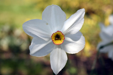 Similar image 1494364