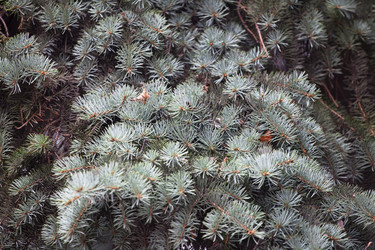 Similar image 1494379