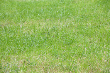 Similar image 1494382