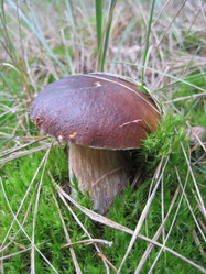 Similar image 1494543