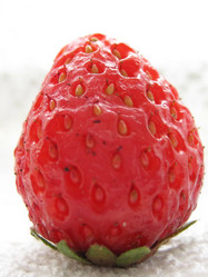 Similar image 1494544