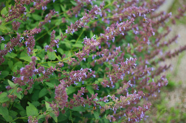 Similar image 1495166