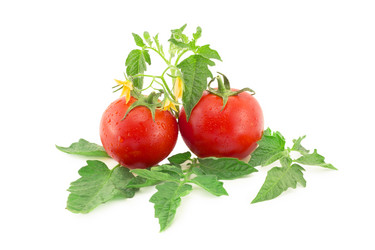 Similar image 1495357