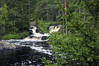 Similar image 1496109