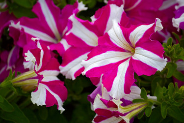 Similar image 1496112