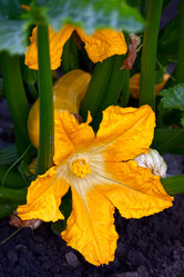 Similar image 1496125