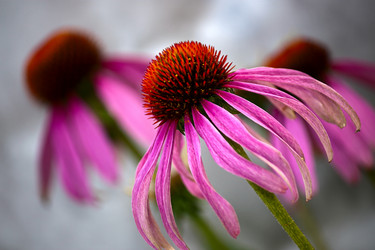 Similar image 1496127