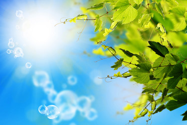 Similar image 1496131