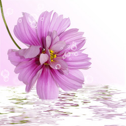 Similar image 1496132