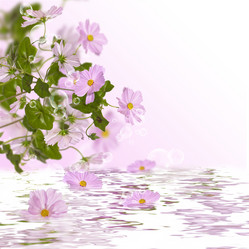 Similar image 1496133