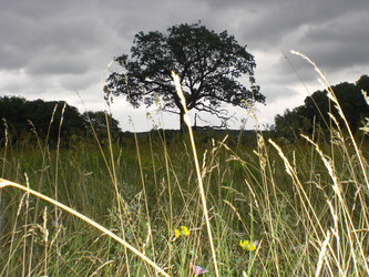 Similar image 1496139