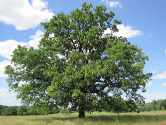 Similar image 1496141