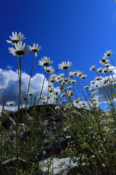 Similar image 1496151