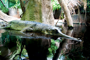 Similar image 1496390