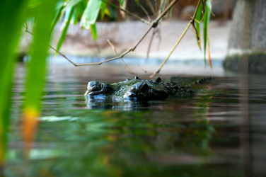 Similar image 1496391