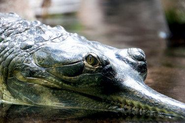 Similar image 1496392