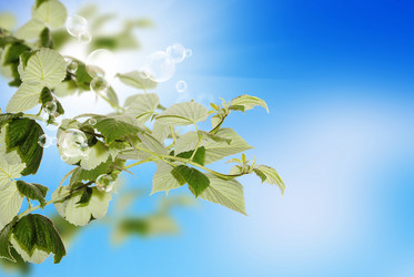 Similar image 1496393