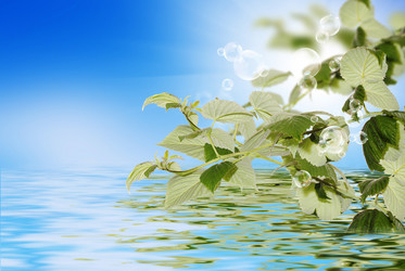 Similar image 1496394