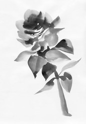 Similar image 1496429