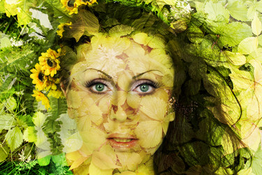 Similar image 1496463