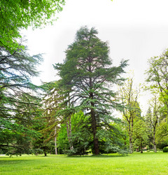 Similar image 1496481